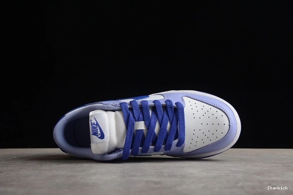 (GS) Dunk Blueberry Low Nike DZ4456-100 1123